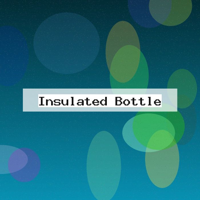 Insulated Bottle